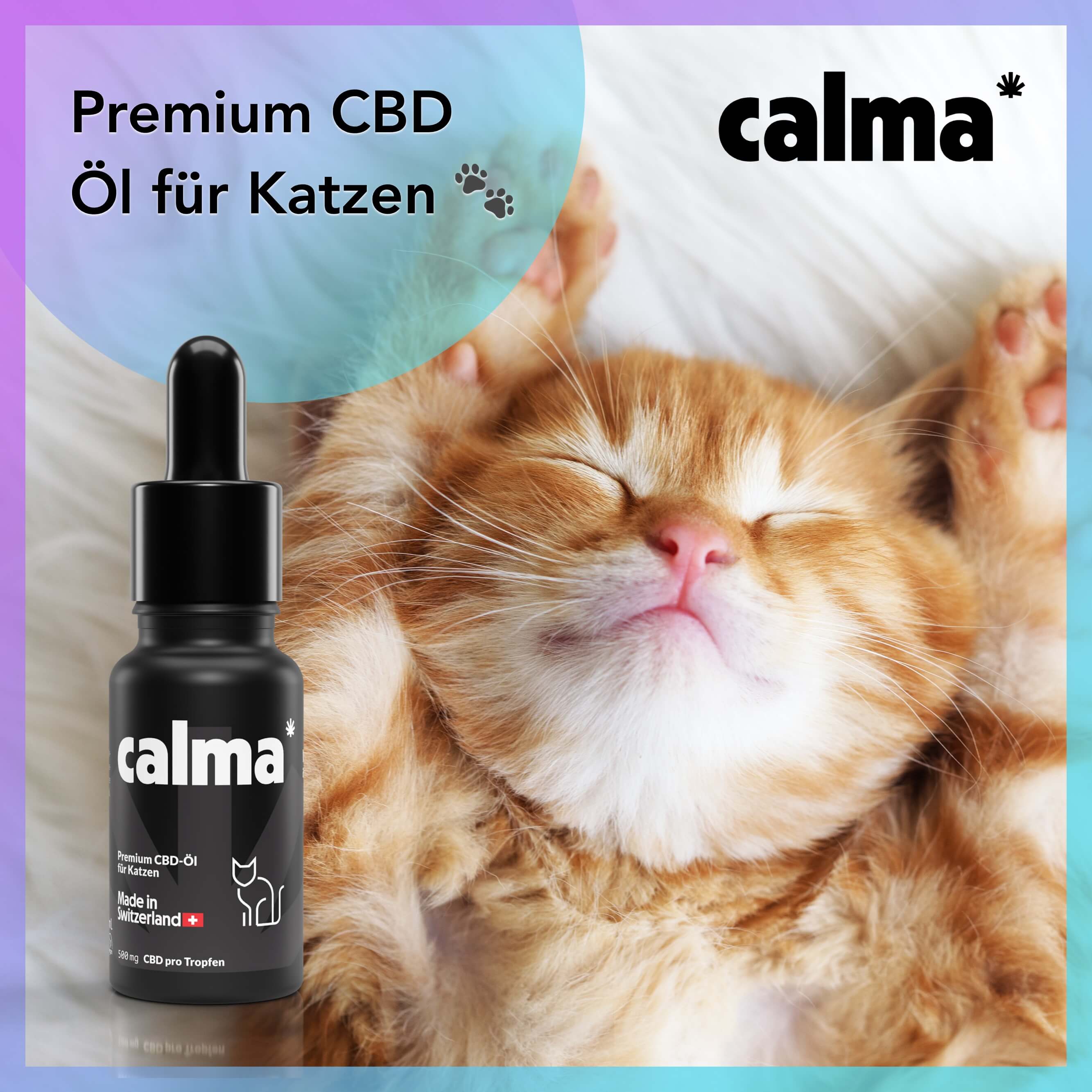 CBD Öl für Katzen 🐱