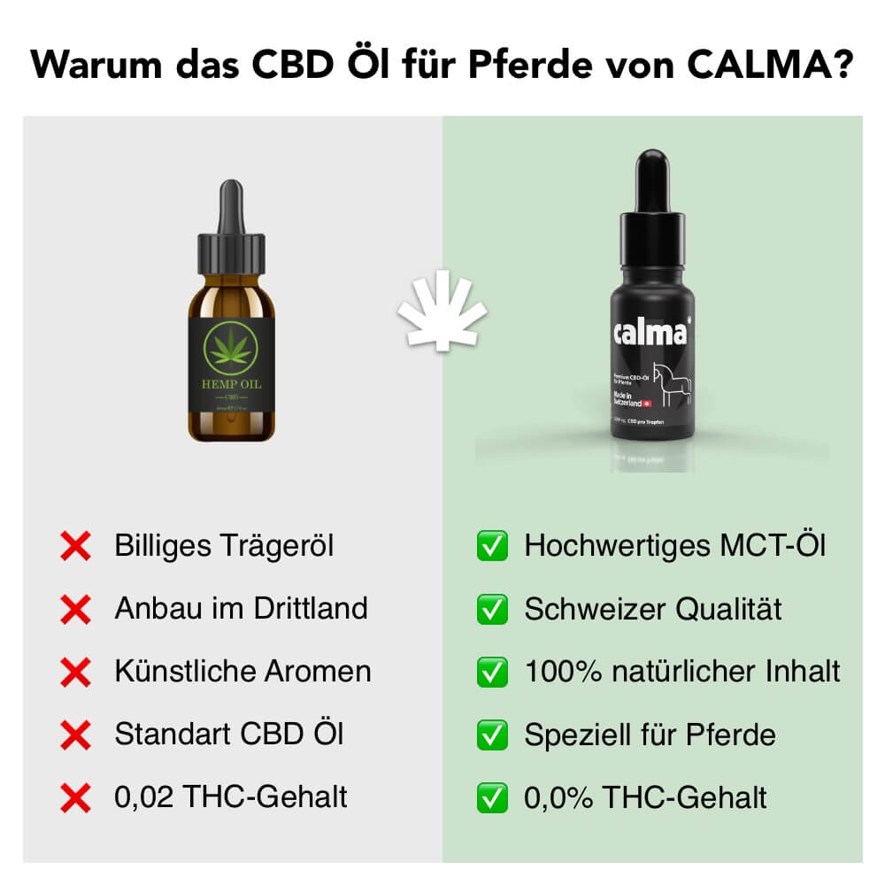 CBD Öl für Pferde 🐴