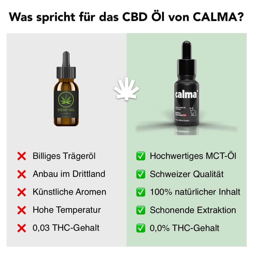 CBD Öl für Katzen 🐱